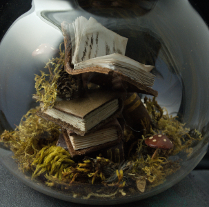 Spellbound Studies